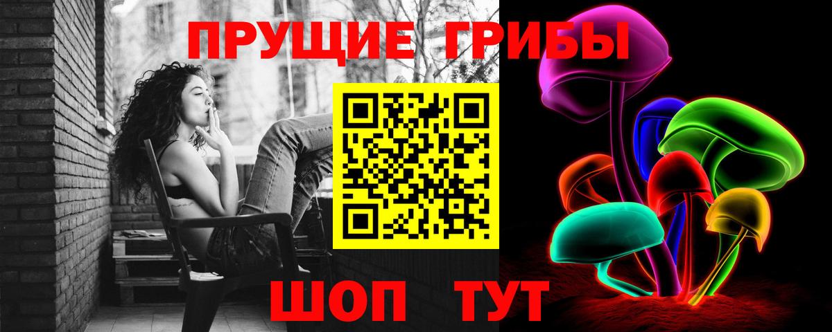 Галлюциногенные грибы мицелий Сергиев Посад